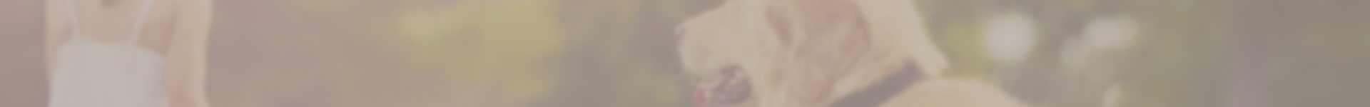 Our Veterinary Services