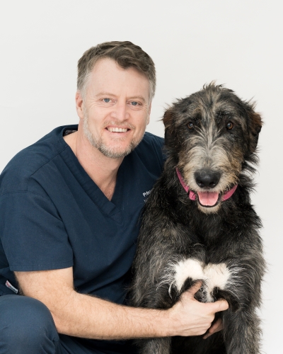 Dr Shelton Smith - Veterinarian