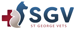 Vets and veterinary surgeons based in the StGeorge area servicing Kogarah, Hurstville, Sans Souci, Blakehurst, Carlton, Carss Park, Brighton Le Sands, Monterey and surrounding areas.